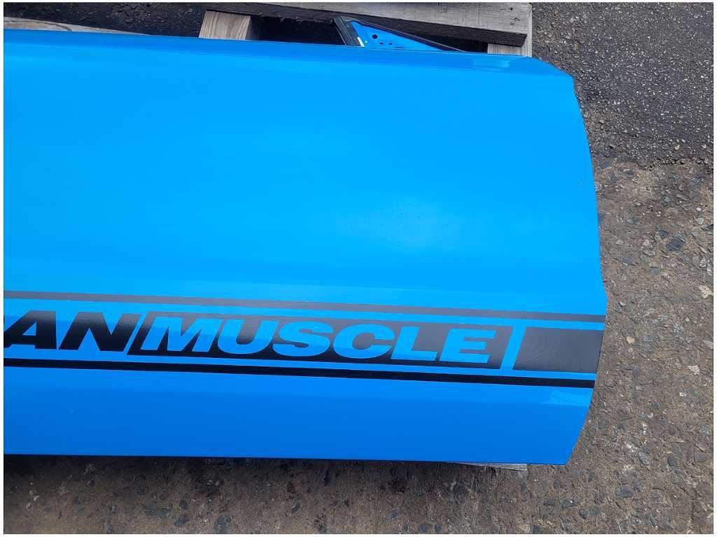 20102012 Ford Mustang GT S197 Passenger Front Door Coupe Paint CI
