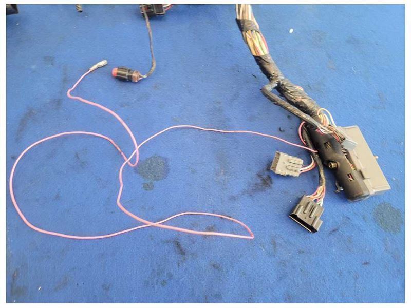 2003 Ford Mustang GT 4.6L Coupe Lamp Front Harness Wire Plug *Cut* 2556 - The Parts Farm