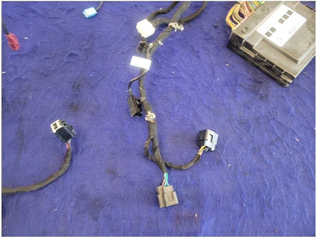 45067426