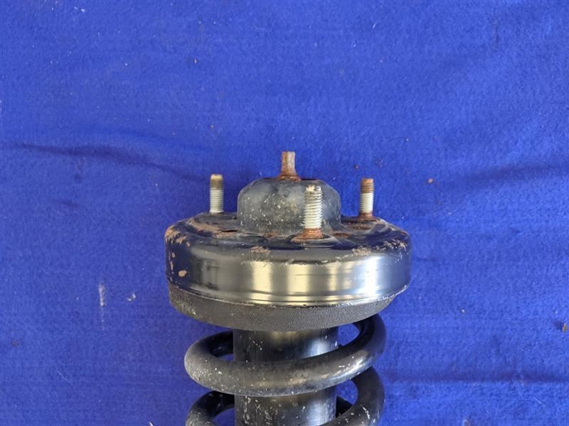2015-2018 Ford F150 Pickup Truck Front Strut Spring Thru 02/25/18 Coil - The Parts Farm