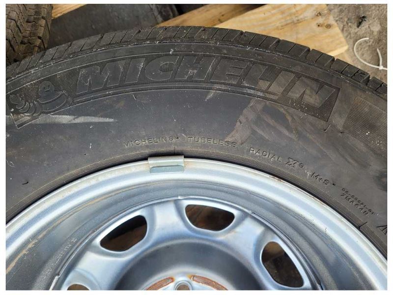 2015-2020 Ford Pickup Truck Wheel 17x7.5 Steel Painted 8 Hole FL34-1015-AB 2358 - The Parts Farm