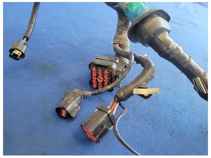 2003 Ford Mustang GT 4.6L Coupe Lamp Front Harness Wire Plug *Cut* 2556 - The Parts Farm