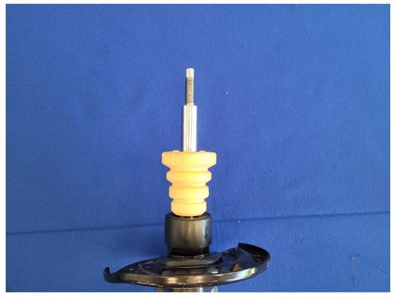 2024 Ford Mustang GT S650 Front Strut No Spring NTO Left Driver M42 - The Parts Farm
