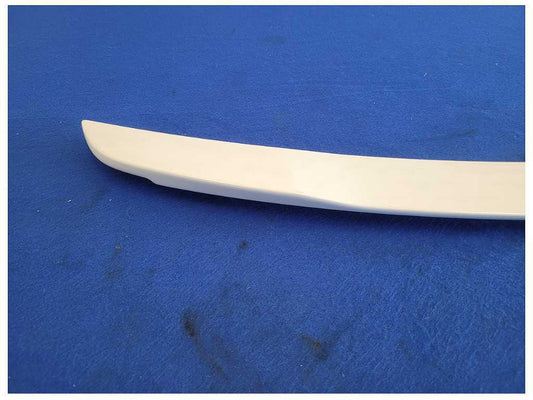 2015-2023 Ford Mustang GT S550 Rear Spoiler Lip Wing Paint YZ 2571