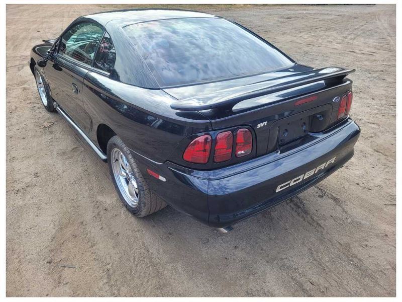 1996-1998 Ford Mustang Cobra 4.6L Front Dual Horn Emergency Noise 2512 - The Parts Farm
