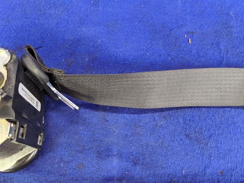 2017-2020 Tesla Model 3 Passenger Seat Belt Rear Safety Restraint  OEM - The Parts Farm
