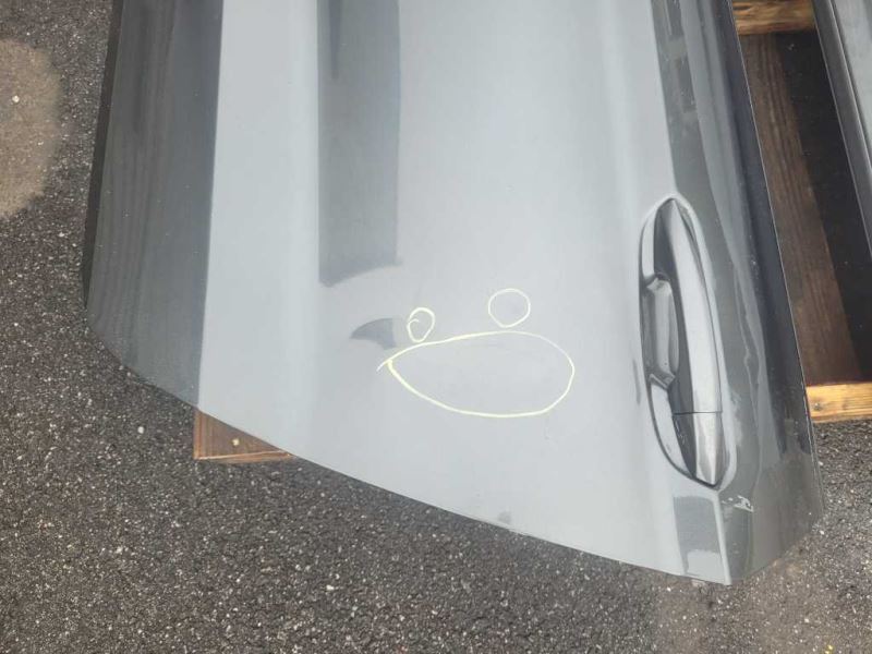 2015-2023 Ford Mustang GT S550 Driver Left Front Door Coupe Shell Paint J7 2033 - The Parts Farm