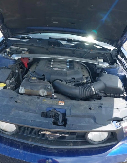 47504431