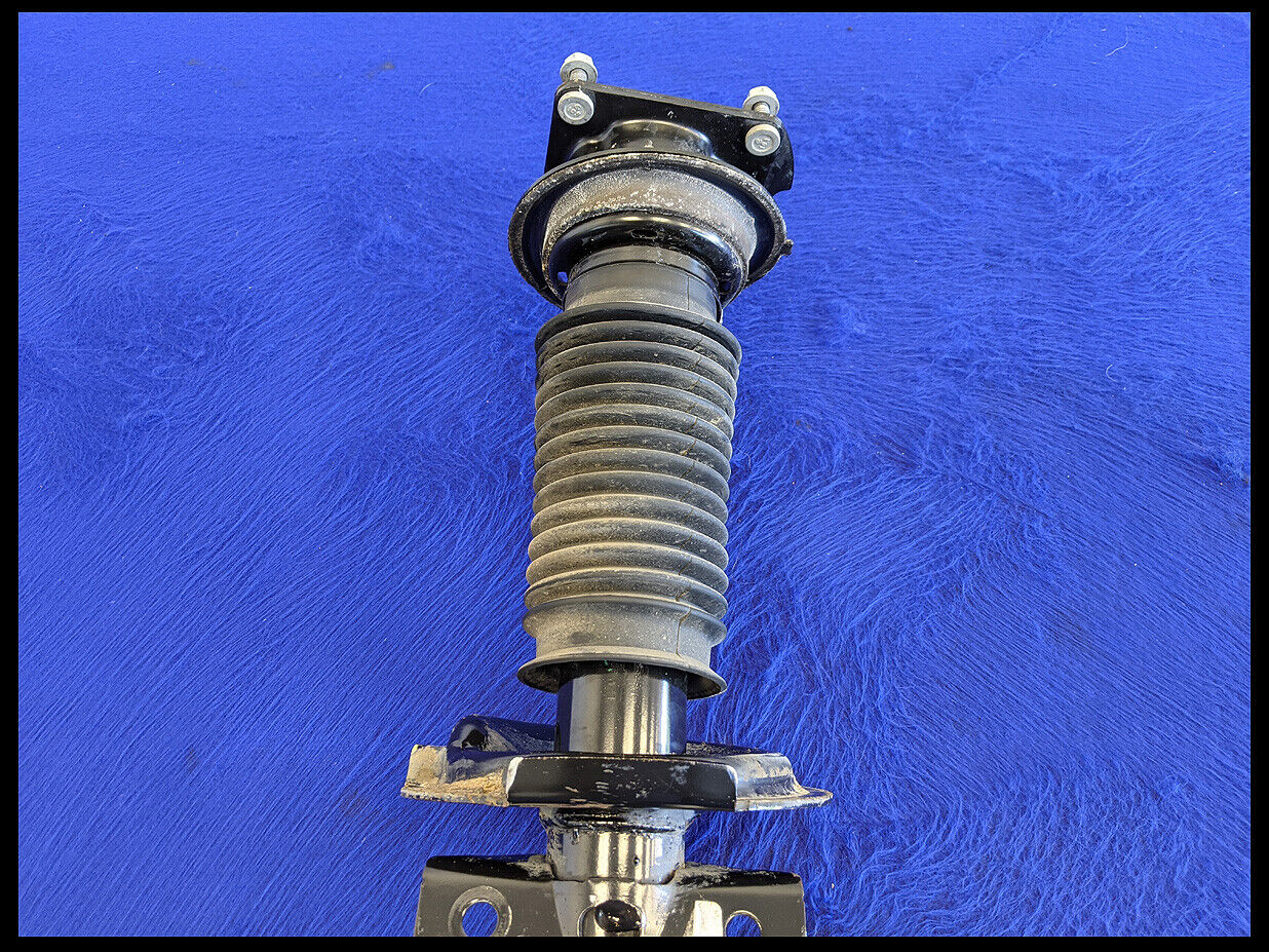 2011-2014 Ford Mustang GT 5.0 Driver LH Left Front Strut Shock Absorber OEM - The Parts Farm