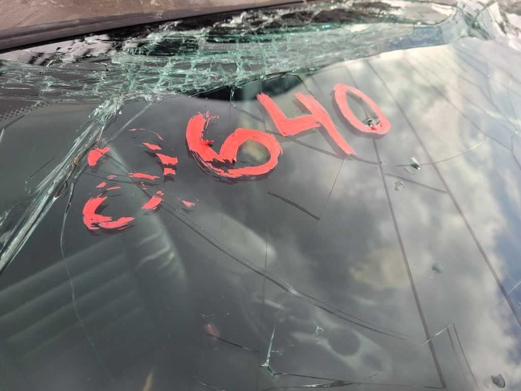 47646031