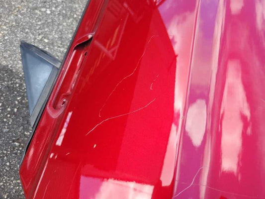 2015-2023 Ford Mustang GT S550 Driver Left Front Door Coupe Shell Paint RR