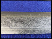 2002-2005 Ford Thunderbird 3.9L V8 Door Sill Plates Plate Scuff OEM Factory - The Parts Farm
