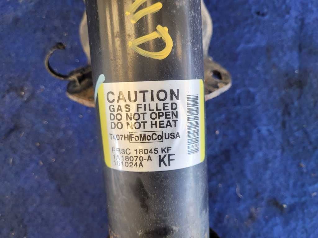 47036503