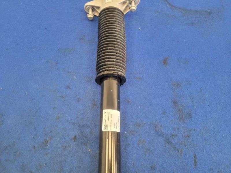 2017-2021 Tesla Model 3 Long Range Dual Motor Passenger Rear Shock 2136 - The Parts Farm