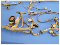 2003-2004 Mercury Marauder 4.6 Power Distribution Harness Wire Engine Plug 2534 - The Parts Farm