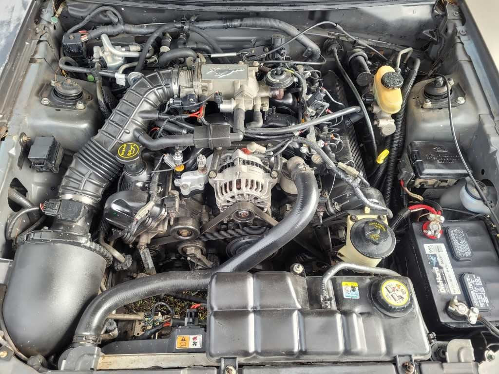 47646031