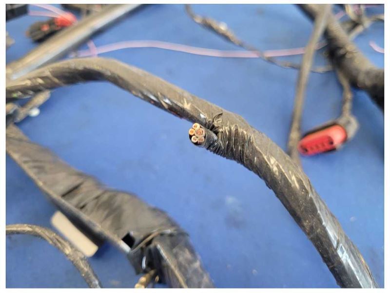 2003 Ford Mustang GT 4.6L Coupe Body Harness Wire Plug *Cut* 2556 - The Parts Farm