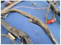 2003 Ford Mustang GT 4.6L Coupe Body Harness Wire Plug *Cut* 2556 - The Parts Farm