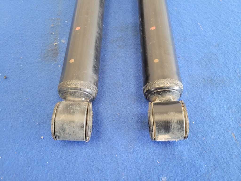 2023 Ford F250 F-250 Super Duty Truck 4x4 Pair Front Shocks Suspension 2558 - The Parts Farm