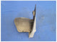 2001-2004 Chevrolet Corvette Z06 FRC C5 Passenger Front Splash Shield 2066 - The Parts Farm