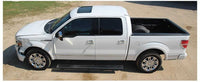 2009-2014 Ford F150 Platinum Truck 9B Interior Driver Left Rear Door Panel - The Parts Farm
