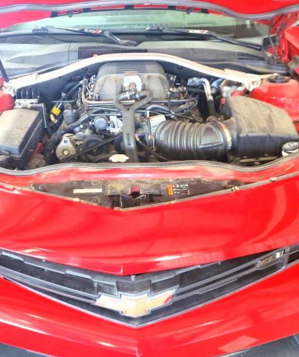 47901507