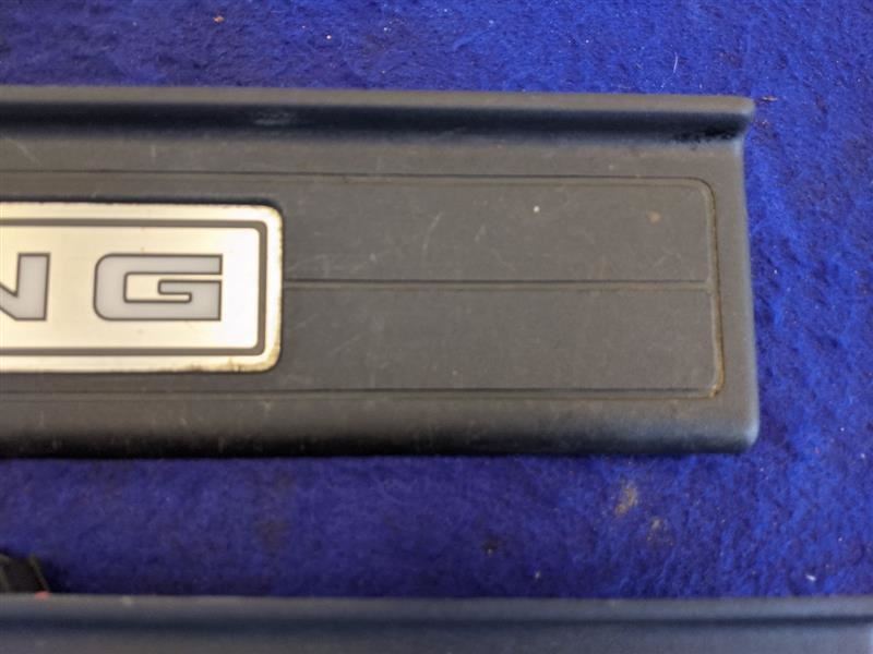 2015-2023 Ford Mustang GT S550 Pair Driver Passenger Door Sill Scuff Lighted - The Parts Farm