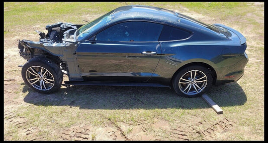 2015-2023 Ford Mustang Lower Rocker Panel Molding Door Rail Driver Left LH - The Parts Farm