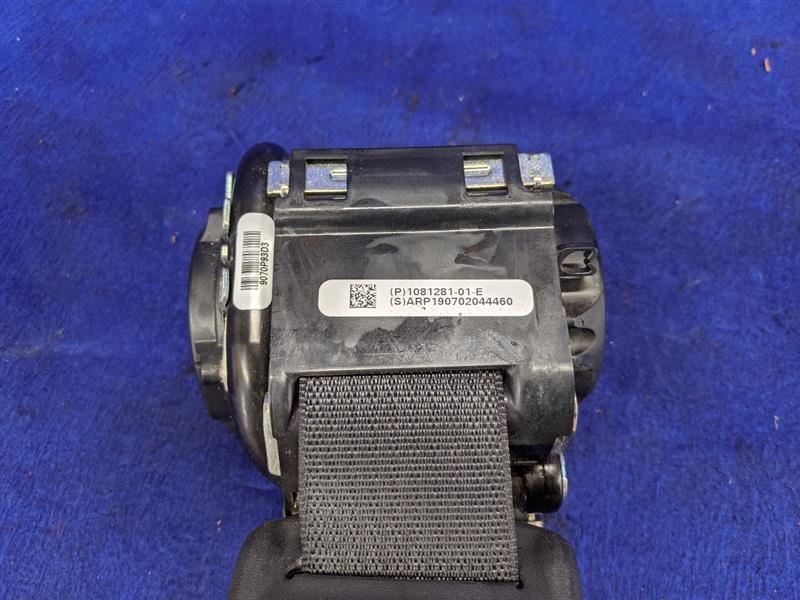 2017-2020 Tesla Model 3 Passenger Seat Belt Rear Safety Restraint  OEM - The Parts Farm
