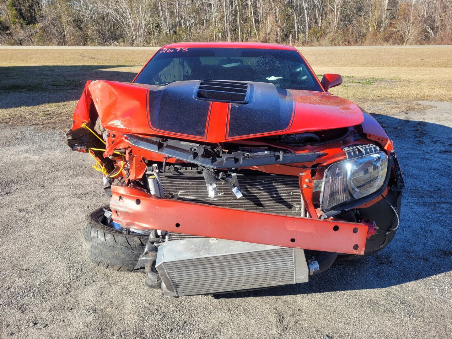 43960051