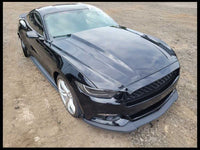 2015-2023 Ford Mustang GT S550 Passenger Right Door Coupe Shell Paint G1 - The Parts Farm