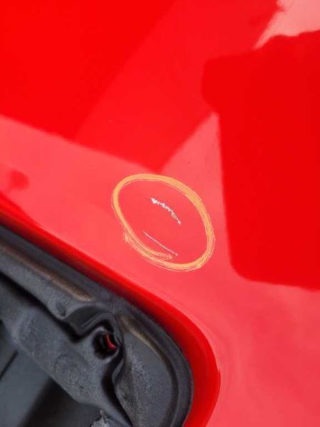 2015-2020 Ford F150 2WD Pickup Truck Driver Front Door Shell Paint PQ 2481