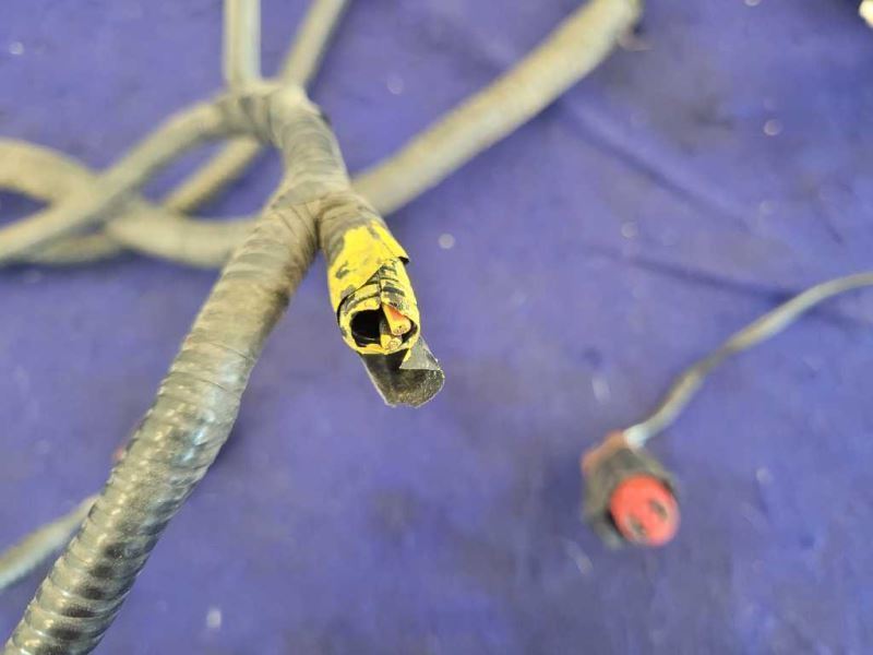 2003 Ford Mustang Cobra SVT 4.6L Engine Control Harness ECU Wire Plug Missing - The Parts Farm