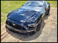 2015-2023 Ford Mustang GT S550 Passenger Right Door Panel Premium Card Handle - The Parts Farm