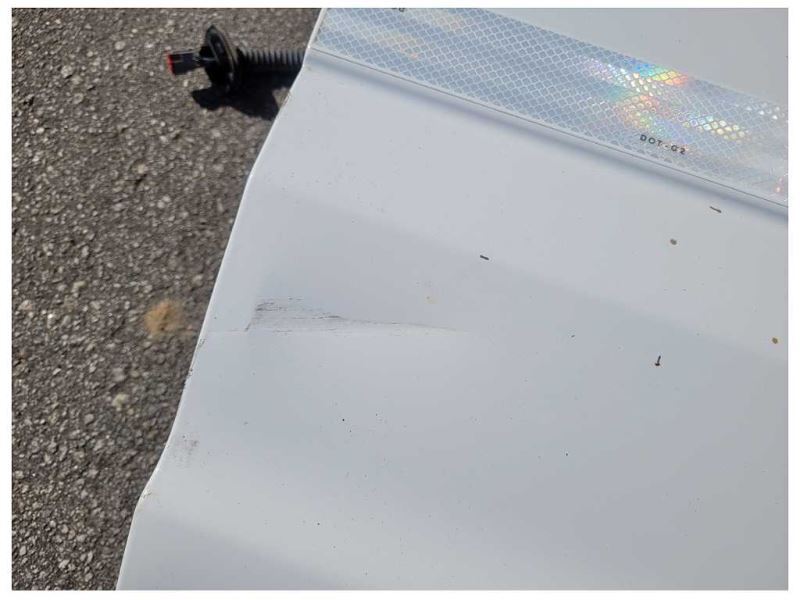2015-2020 Ford F150 Pickup Truck Passenger Rear Back Door Shell Paint YZ 2358 - The Parts Farm