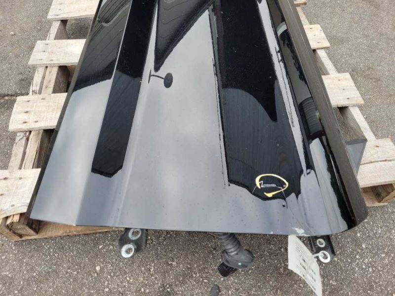 2015-2023 Ford Mustang GT S550 Passenger Right RH Front Door Coupe Paint Code G1 - The Parts Farm