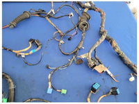 2003-2004 Mercury Marauder 4.6L 4v Body Harness Wire Plug *Broken* 2522 - The Parts Farm