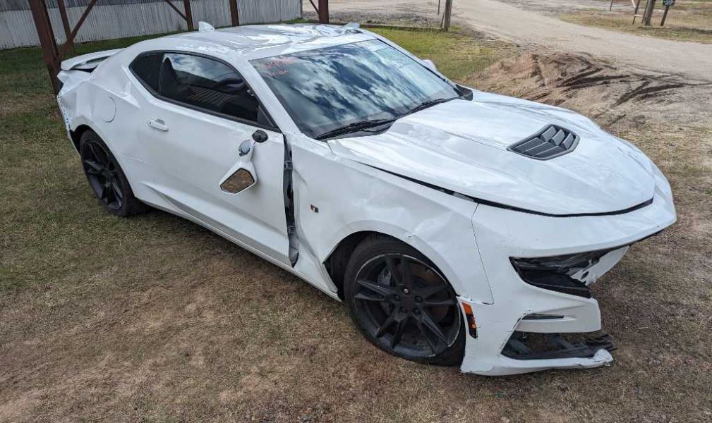 2019 Chevrolet Camaro SS Coupe Emblem Logo 2492 - The Parts Farm