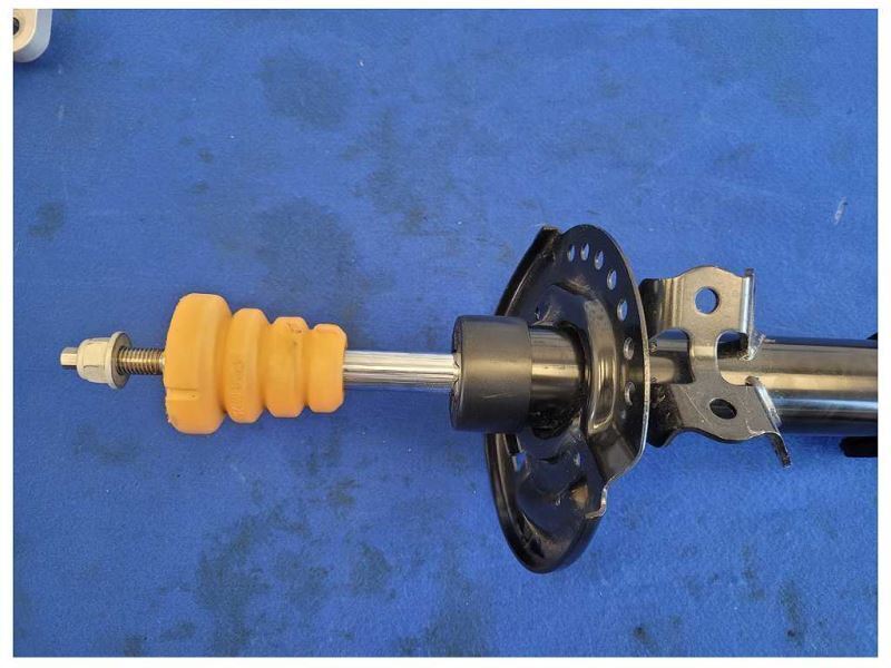2024 Ford Mustang GT S650 Front Strut No Spring NTO Passenger Right M42 - The Parts Farm