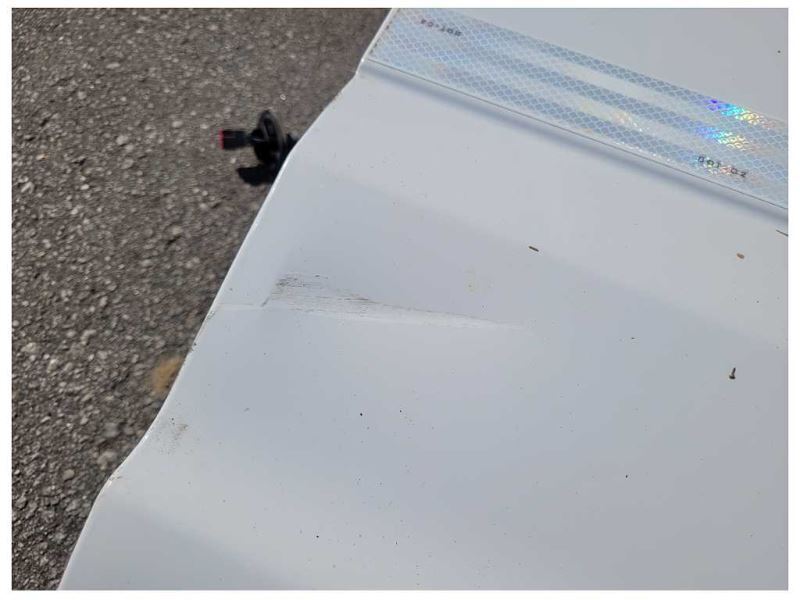 2015-2020 Ford F150 Pickup Truck Passenger Rear Back Door Shell Paint YZ 2358 - The Parts Farm