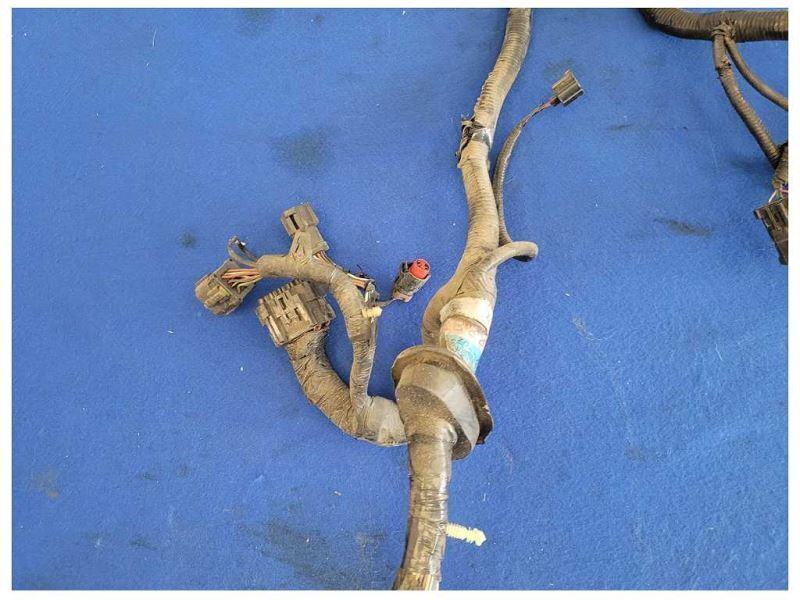 1998 Ford Mustang Cobra SVT DOHC 4.6L Convertible ECU Engine Harness Manual 2512 - The Parts Farm