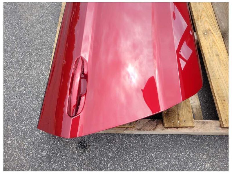 2015-2023 Ford Mustang GT S550 Passenger RH Front Door Coupe Shell Paint RR 2374 - The Parts Farm