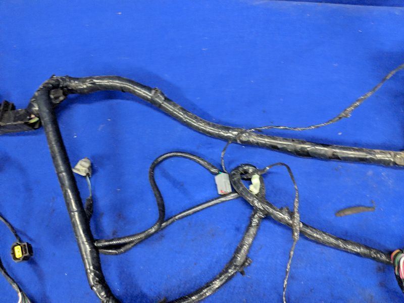 2003-2004 Ford Mustang Cobra SVT DOHC 4.6L Body Wire Harness Wiring OEM Factory - The Parts Farm