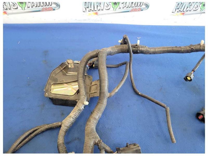 2003 Ford Mustang GT 4.6L Coupe Lamp Front Harness Wire Plug *Cut* 2556 - The Parts Farm