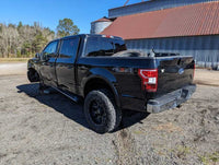 2015-2020 Ford F150 Pickup Truck Rear Pair Rough Country Shocks Suspension 2490 - The Parts Farm