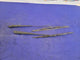 1999-2004 Ford Mustang Cobra SVT DOHC 4.6L Windshield Wiper Arm Blade Wipe 2276 - The Parts Farm