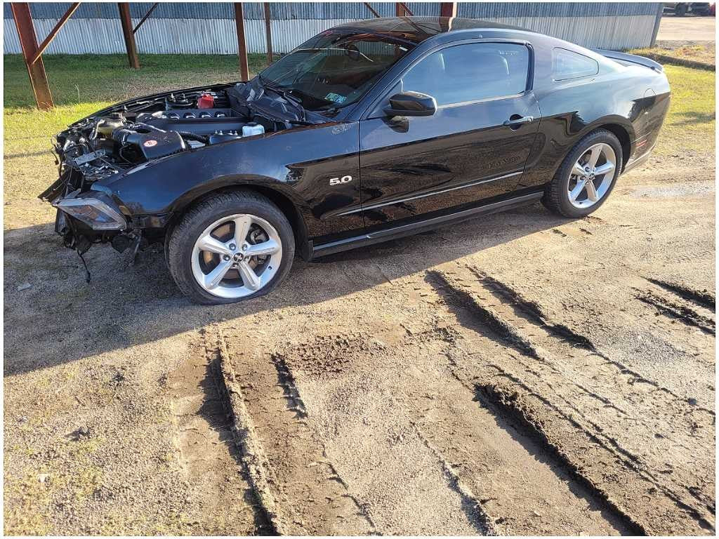 47645892
