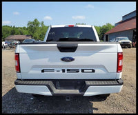 2015-2019 Ford F150 Pickup Truck Driver Left Rear View Mirror Power Pedestal - The Parts Farm