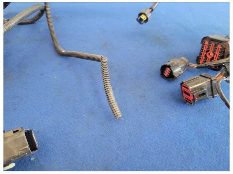 2003 Ford Mustang GT 4.6L Coupe Lamp Front Harness Wire Plug *Cut* 2556 - The Parts Farm