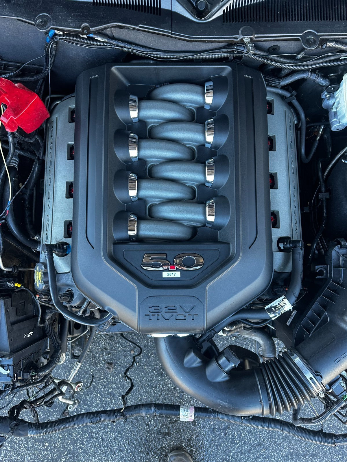 47732894